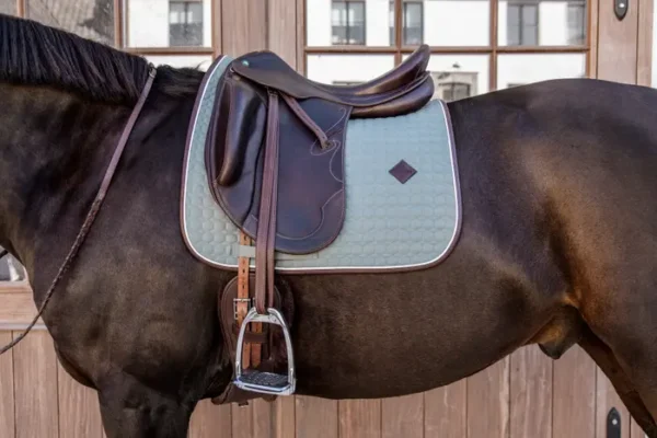 Sottosella Classico in pelle da Dressage