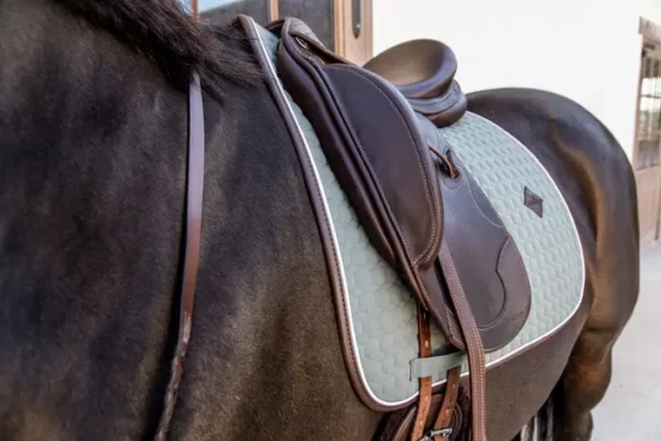 Sottosella Classico in pelle da Dressage - immagine 4