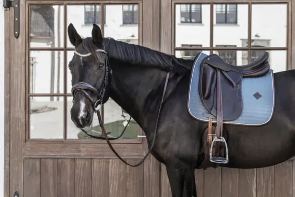Sottosella Classico in pelle da Dressage - immagine 16