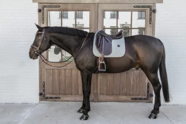 Sottosella Classico in pelle da Dressage - immagine 5
