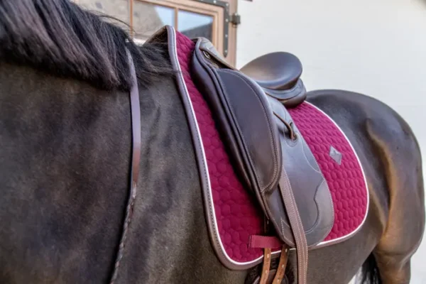 Sottosella Classico in pelle da Dressage - immagine 14
