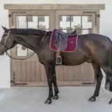 Sottosella Classico in pelle da Dressage - immagine 15