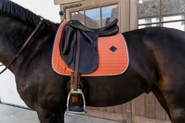Sottosella Classico in pelle da Dressage - immagine 6