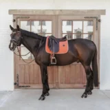 Sottosella Classico in pelle da Dressage - immagine 10