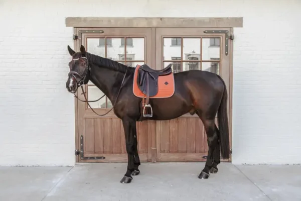 Sottosella Classico in pelle da Dressage - immagine 10