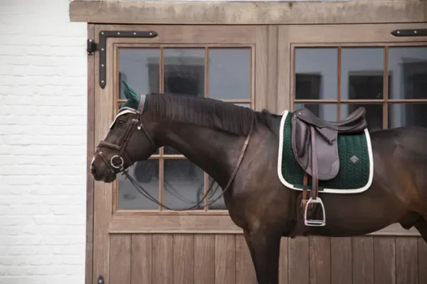 Sottosella in Velluto a Contrasto da Dressage - immagine 10
