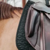 Sottosella da Dressage Classico - immagine 24