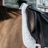 Sottosella da Dressage Classico - immagine 16