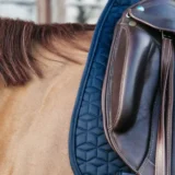 Sottosella da Dressage Classico - immagine 12