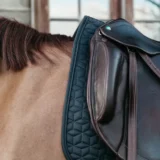 Sottosella da Dressage Classico - immagine 8