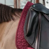 Sottosella da Dressage Classico - immagine 4