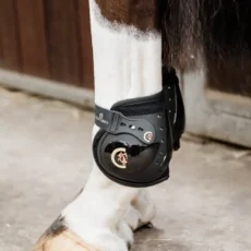Moonboots Elastico