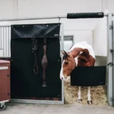 Guardia Stabile - immagine 3