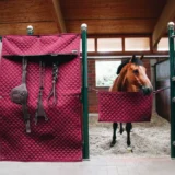 Guardia Stabile - immagine 5