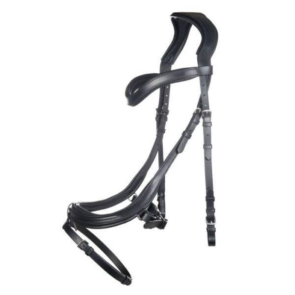 Briglia -Anatomica- - immagine 2