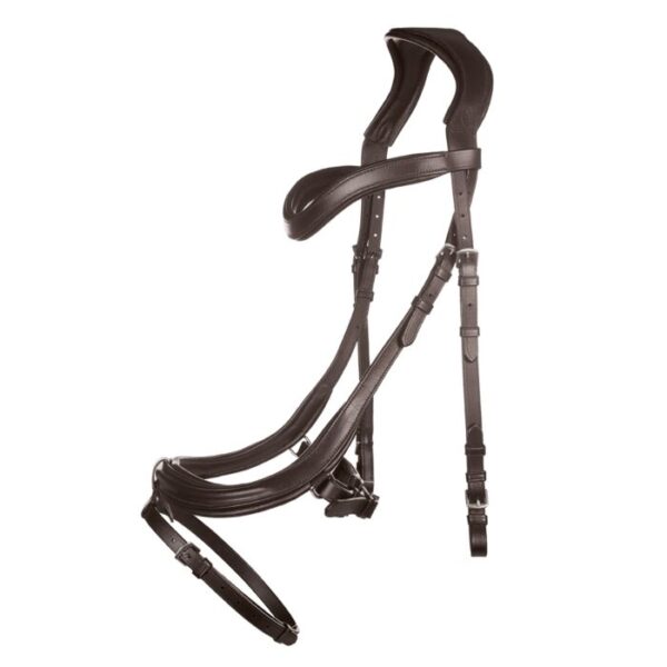 Briglia -Anatomica- - immagine 5