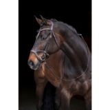 Briglia -Sport Anatomica-