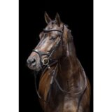 Briglia -Sport Anatomica- - immagine 3