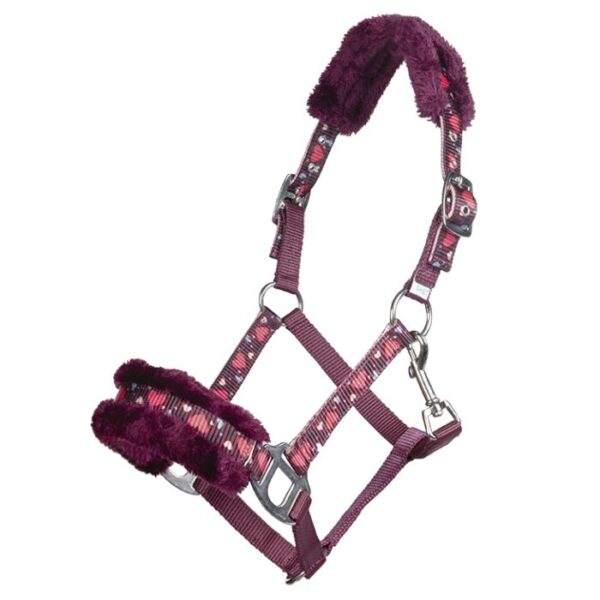 Collare -Cuore-