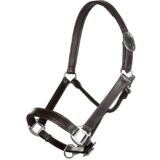 Collare in pelle -Economico- - immagine 4