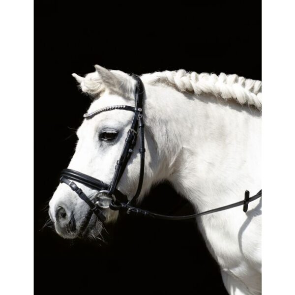 Briglia -Shetty Diamond- - immagine 5