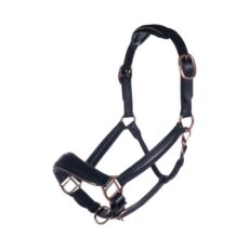 Collare in pelle -Rosegold-