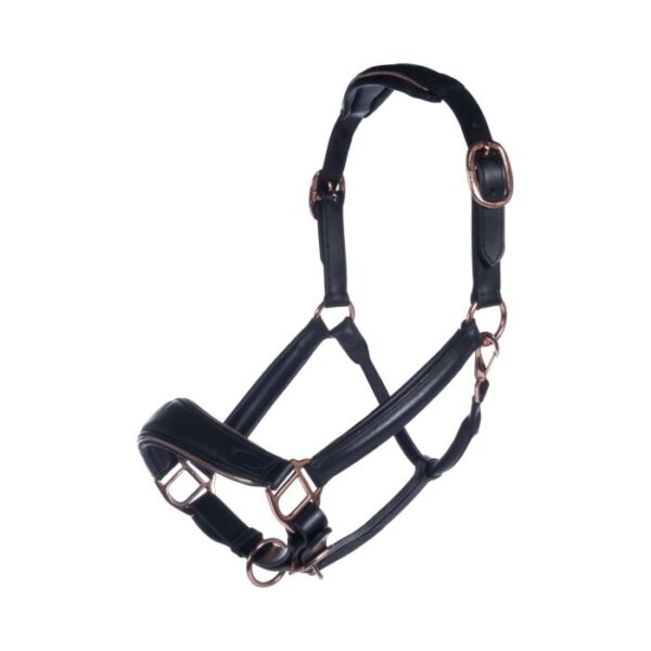 Collare in pelle -Rosegold-