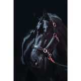 Collare in pelle -Rosegold- - immagine 2