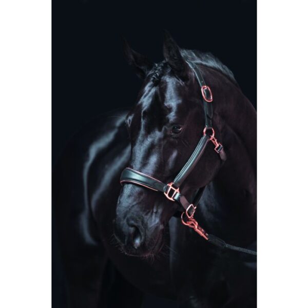 Collare in pelle -Rosegold- - immagine 2