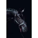Collare in pelle -Rosegold- - immagine 3
