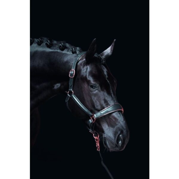 Collare in pelle -Rosegold- - immagine 3