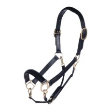 Collare in pelle -Oro-