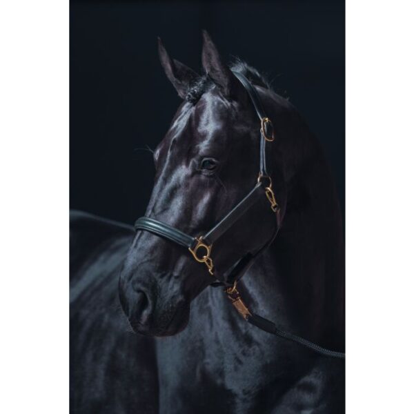 Collare in pelle -Oro- - immagine 2