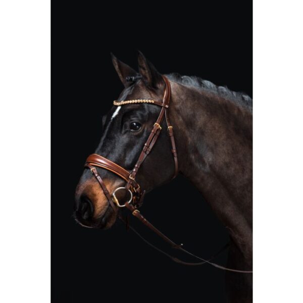 Briglia -Marrakesh- - immagine 2