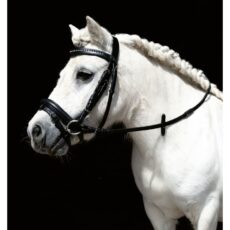 Briglia -Mini Shetty-