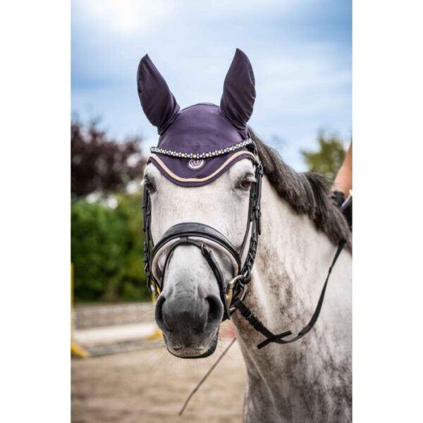 Frontalino -Eliana- - immagine 3