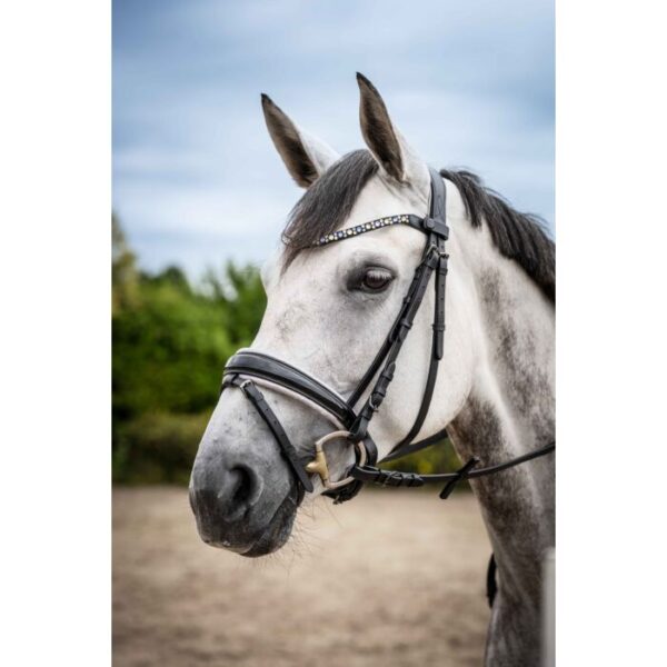 Frontalino -Eliana- - immagine 4