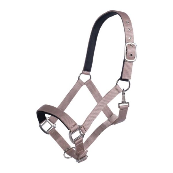 Collare -Breakaway-