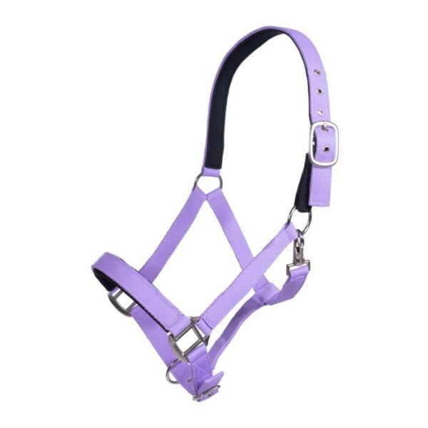 Collare -Breakaway- - immagine 4