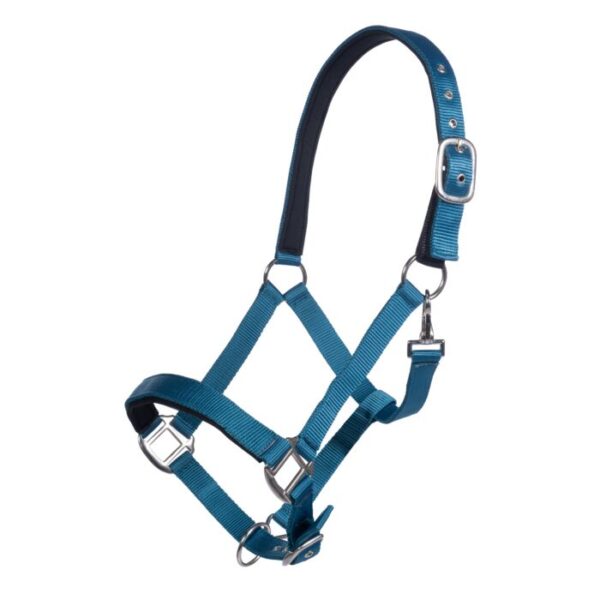 Collare -Breakaway- - immagine 5