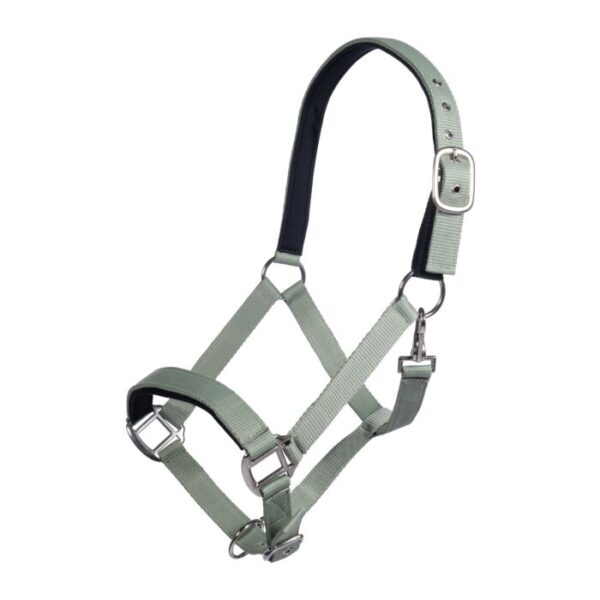 Collare -Breakaway- - immagine 6
