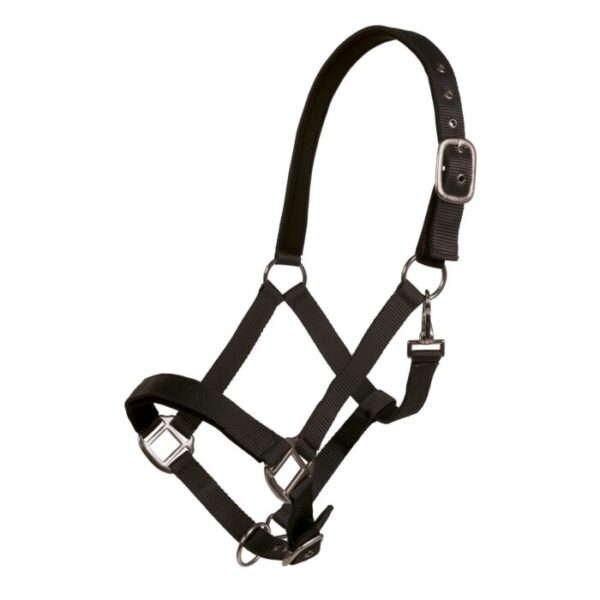 Collare -Breakaway- - immagine 8