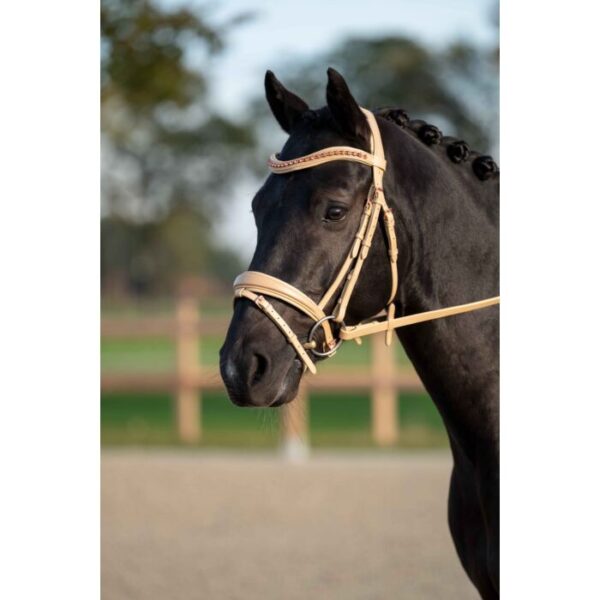 Briglia -Rosegold Elegante- Stile - immagine 2