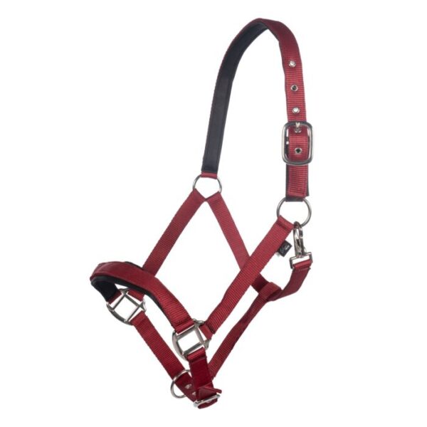 Collare per la testa -Breakaway 2-