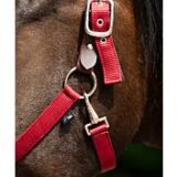 Collare per la testa -Breakaway 2- - immagine 4