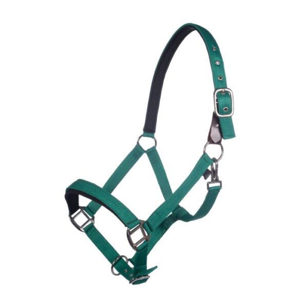 Collare per la testa -Breakaway 2- - immagine 10