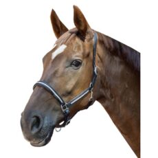 Collare in pelle -Diamond-