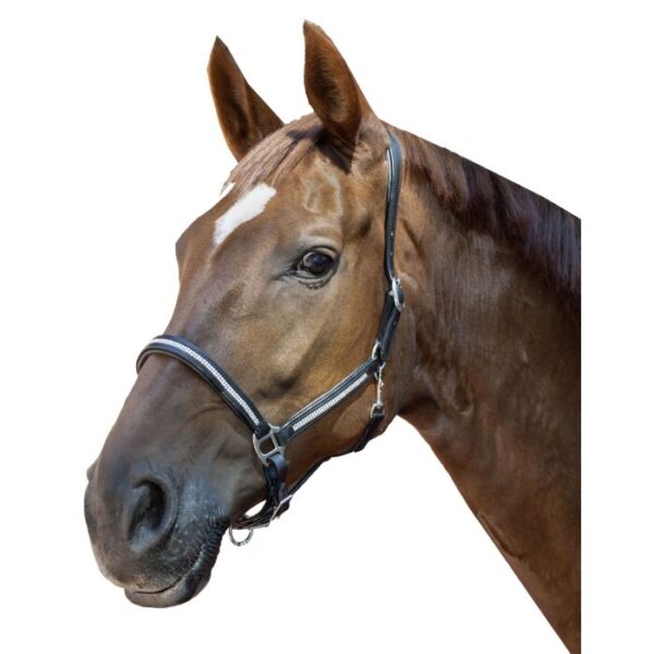 Collare in pelle -Diamond-