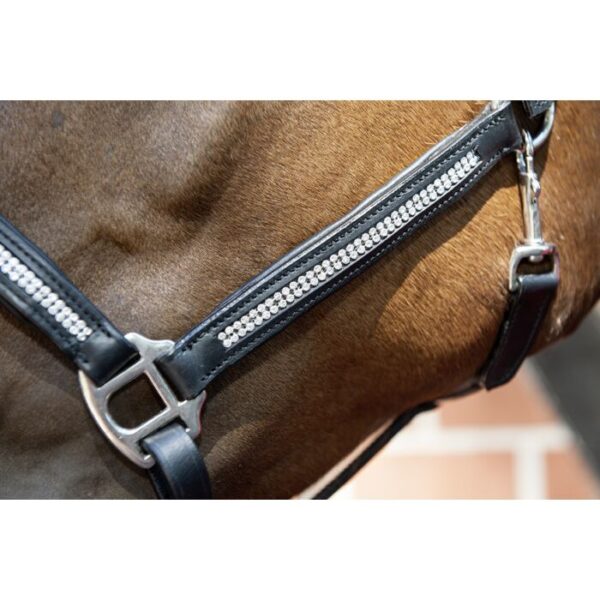 Collare in pelle -Diamond- - immagine 2