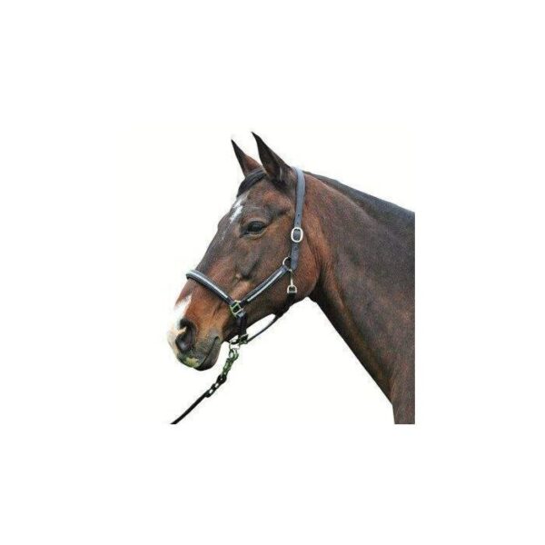 Collare in pelle -Diamond- - immagine 3